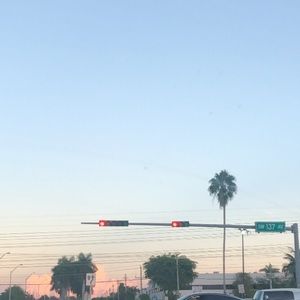 Meet your Posher, Priscilla